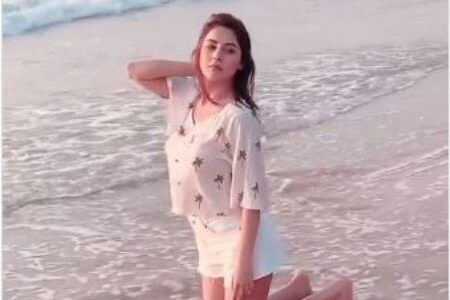 Shehnaaz Gill Goa Beach Video Viral on Internet