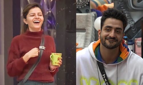 Rubina Dilaik is Queen of Bigg Boss Aly Goni Spoiled His Game